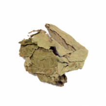 Salvia Divinorum Bladeren